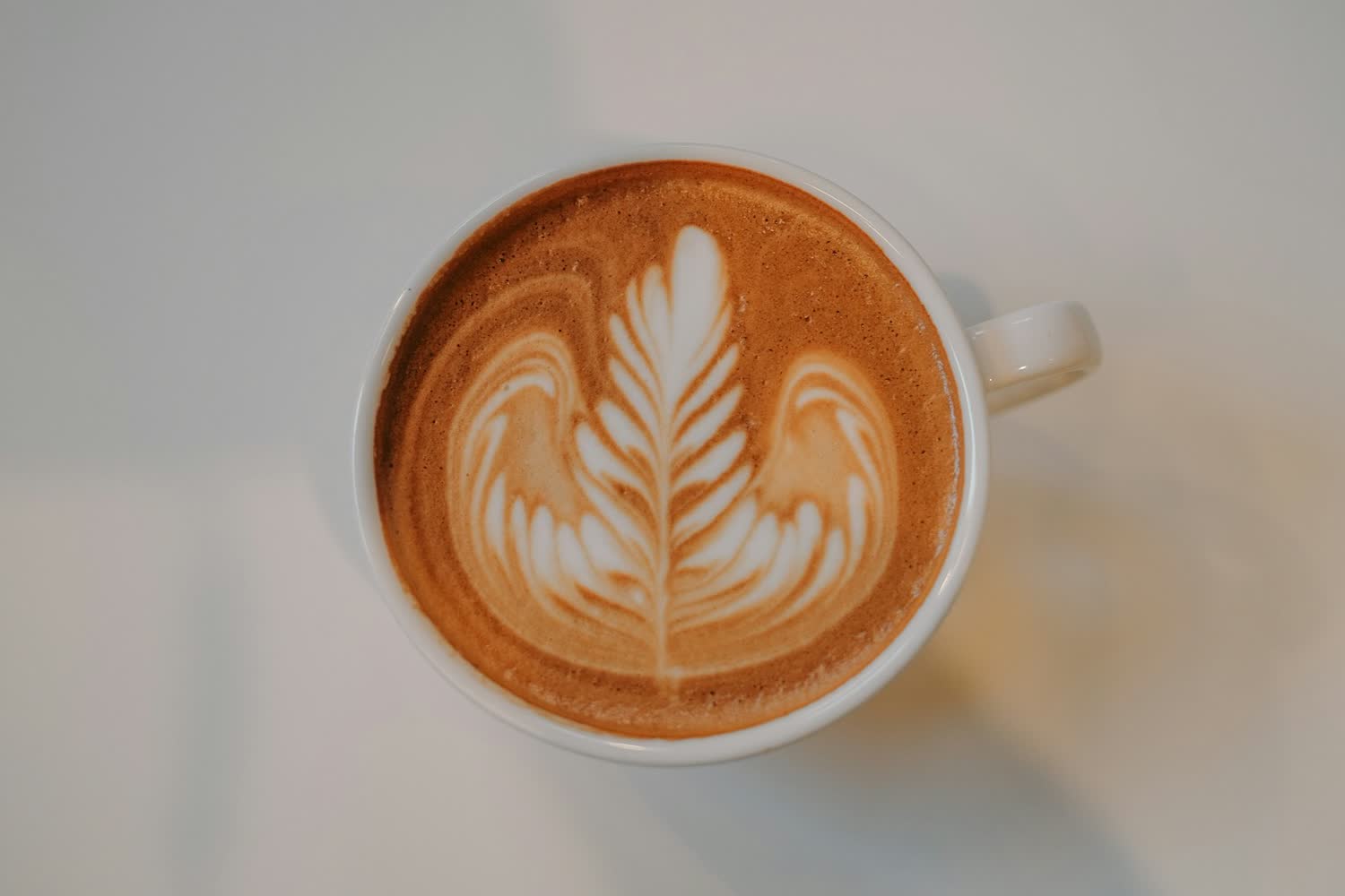 Flat white with latte art from above