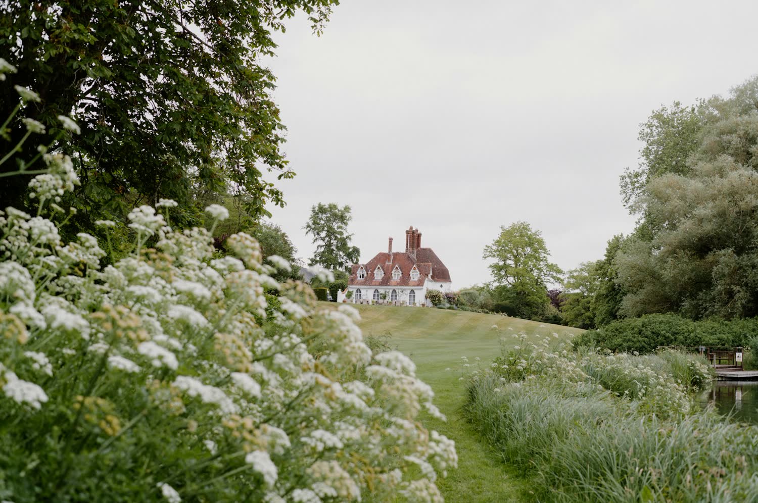 Garden path lined with white blossom in early summer